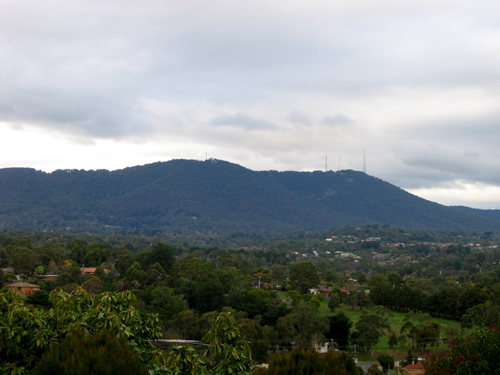 Find a little piece of Paradise In the Dandenong Ranges Australia