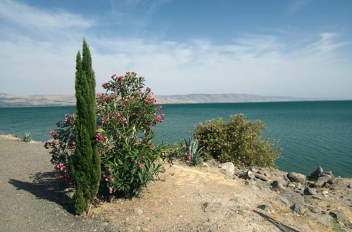 Sea of Galilee area Day Tour