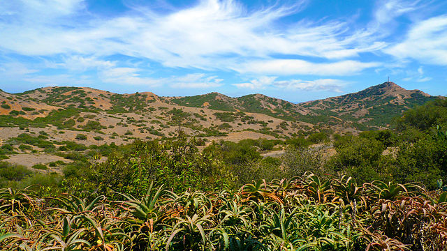 A Peaceful Retreat on Catalina Island, California