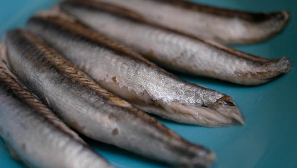 Anchovies in Italian Food